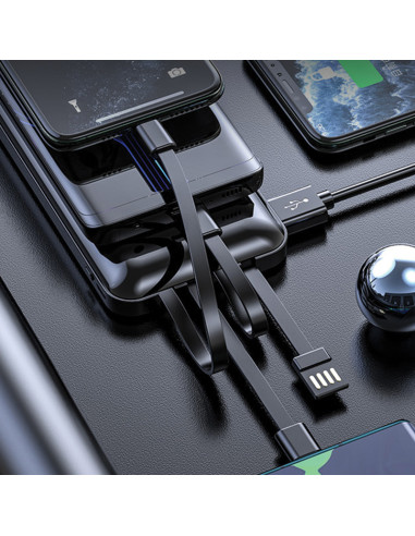 PB-4004 10.000 mAh Powerbank