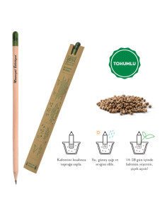 569 Tohumlu Naturel Kurşun Kalem