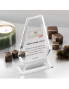 PB301 Kristal Plaket