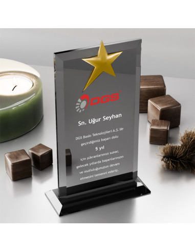 PB3001-FY Kristal Plaket