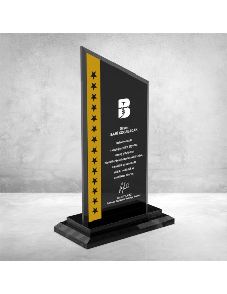 PB607 Kristal Plaket