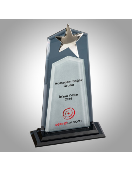 PB609 Kristal Plaket