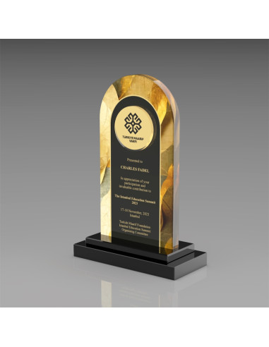 PB806 Kristal Plaket