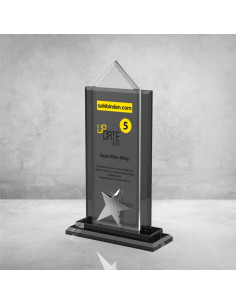 PB901 Kristal Plaket