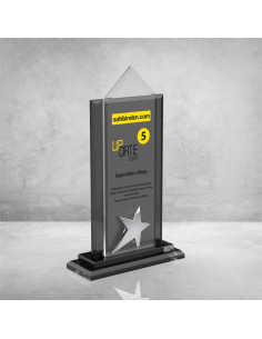 PB901 Kristal Plaket 2