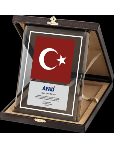 PB2004 Altın Yaldız Kristal Plaket
