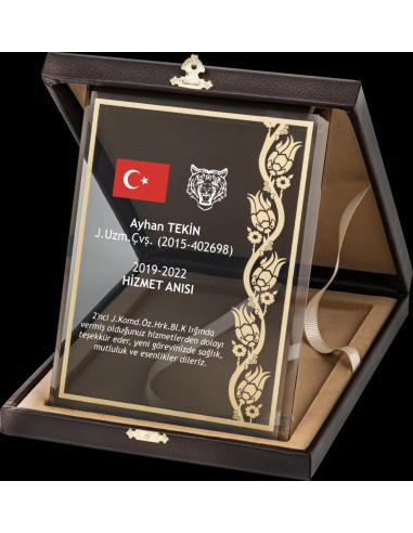 PB2010 Altın Yaldız Kristal Plaket