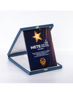 PB1208 18X24 Kristal Plaket