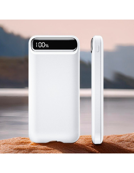 PWB-310 Powerbank 10000 mAh