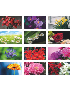 AMT-05 Çiçek Bristol Masa Takvimi  2