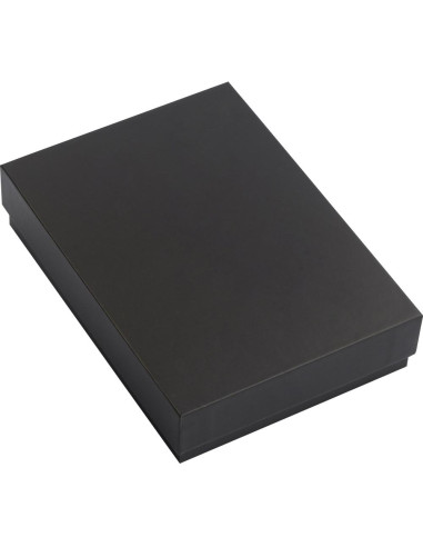 2110 Powerbank 10000 mAh